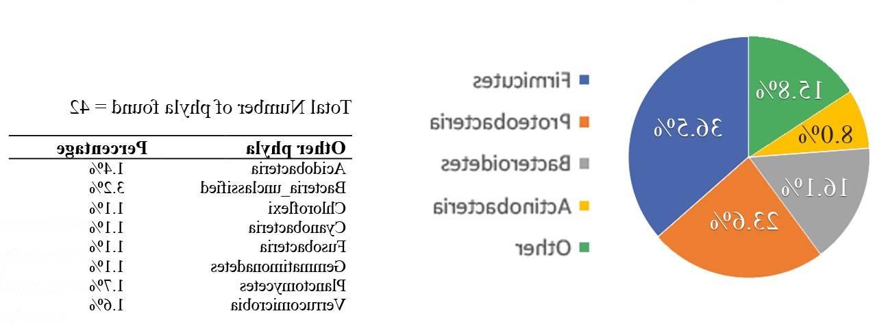 ecology chart